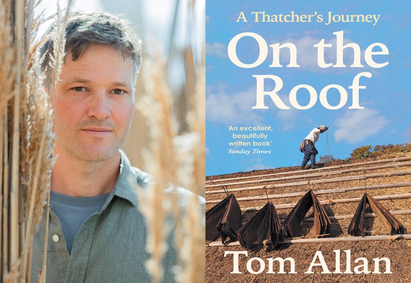 Tom Allan