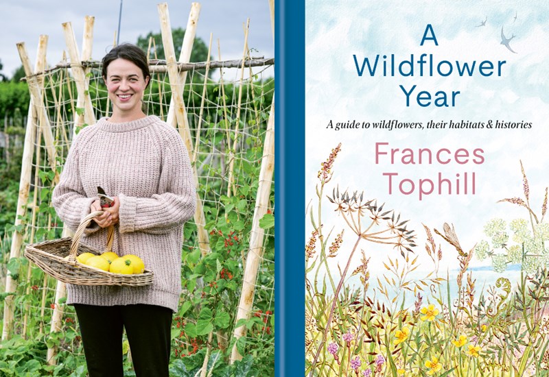 Frances Tophill